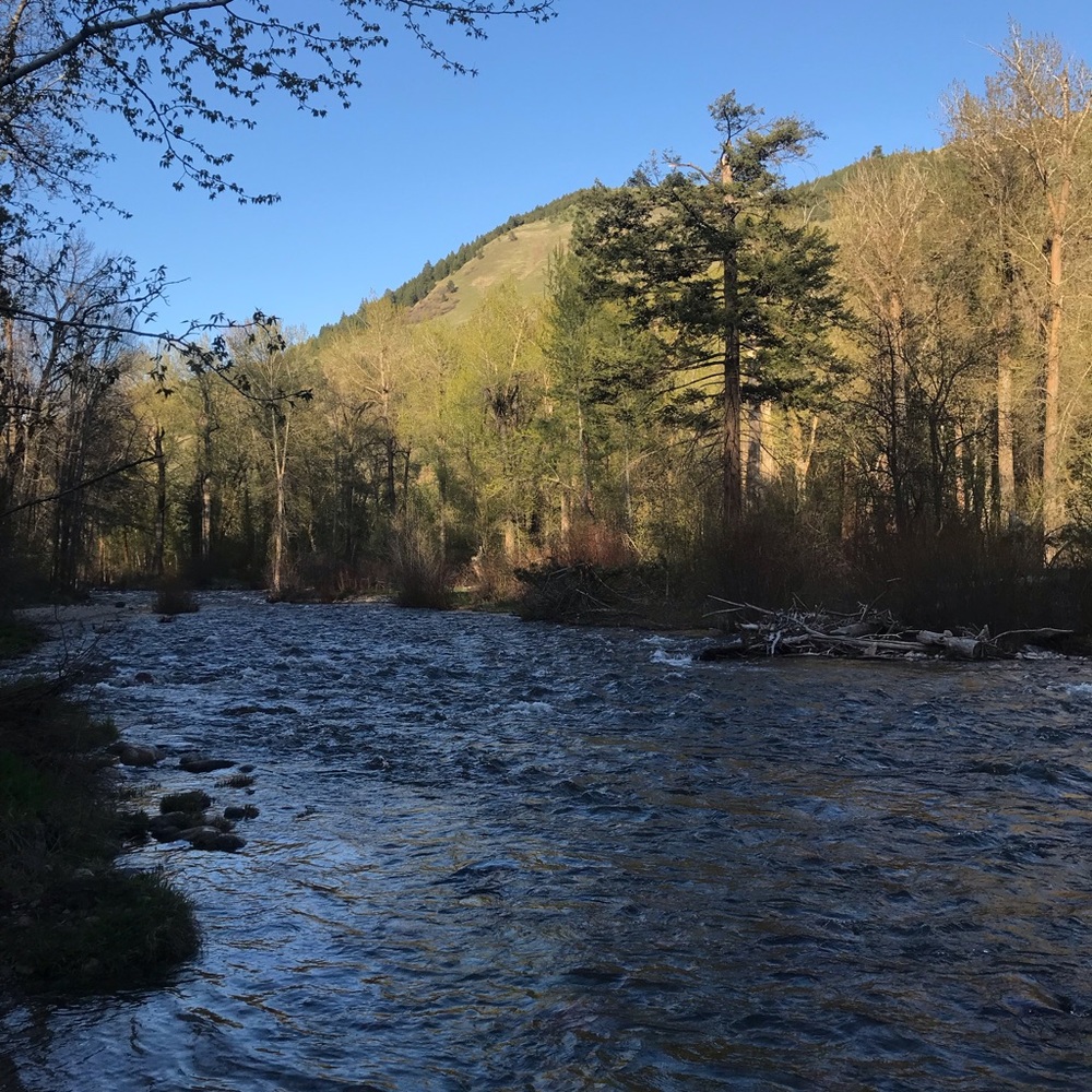 Meet your Posher, Leslie